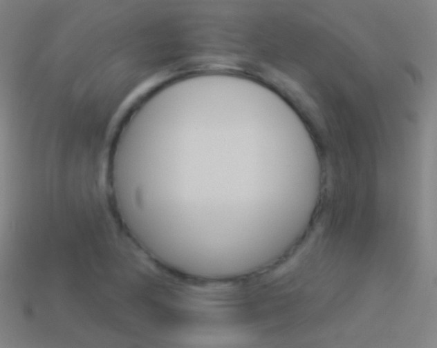 X0000114531174200910191004