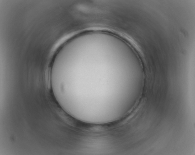 X0000114531175200910191004