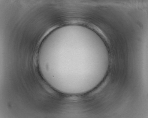 X0000114531178200910191004