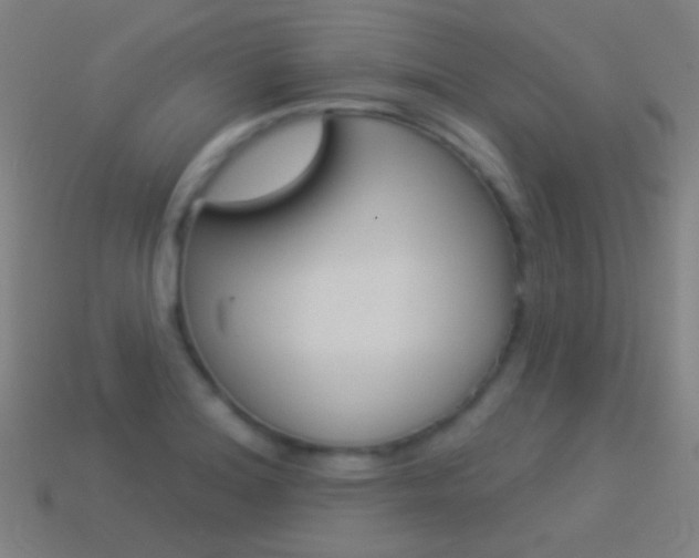 X0000114531180200910191004