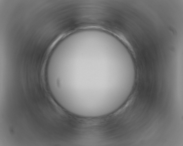 X0000114531181200910191004