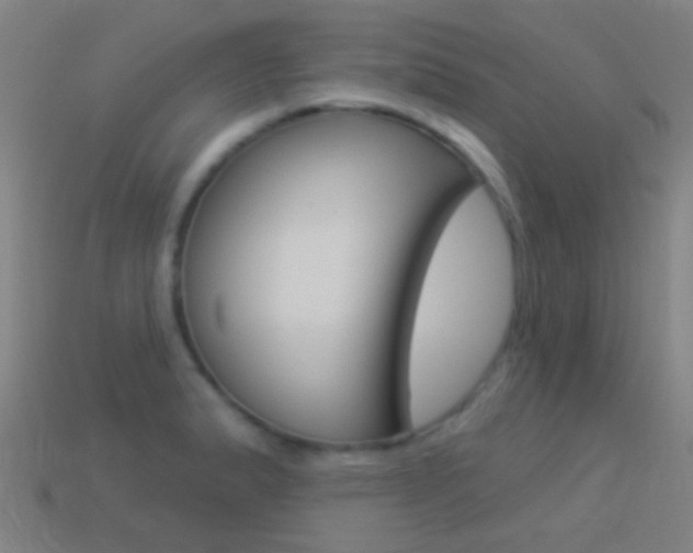 X0000114531183200910191004