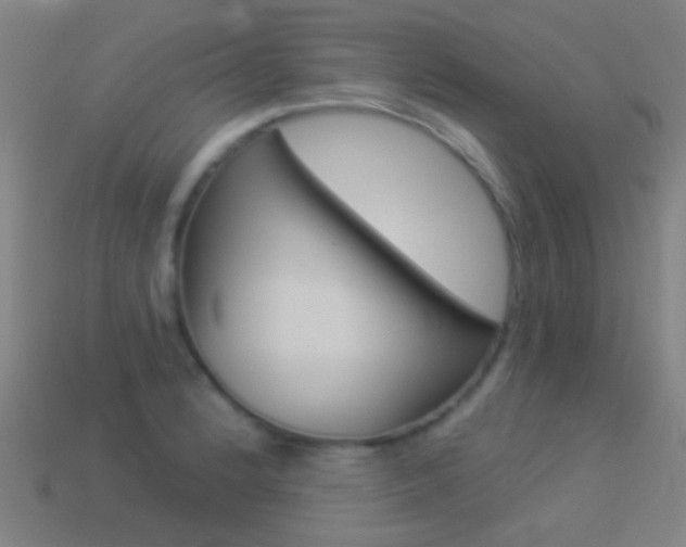 X0000114531184200910191004