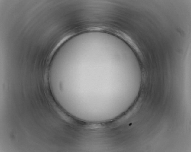 X0000114531186200910191004