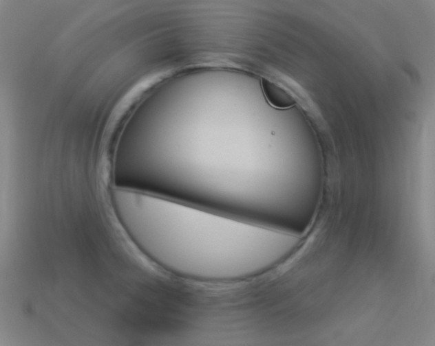 X0000114531188200910191004