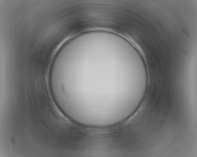 X0000114531189200910191004