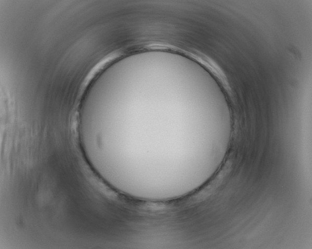 X0000114531190200910191004