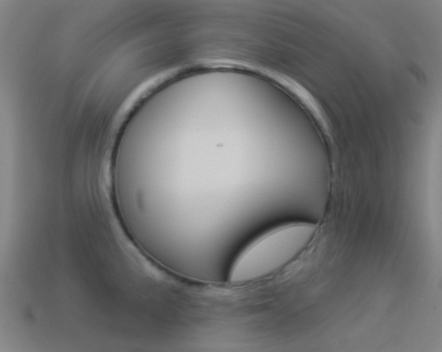 X0000114531191200910191004