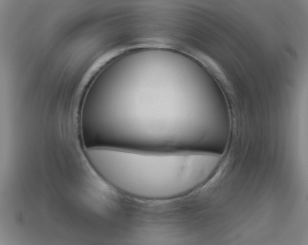 X0000114531192200910191004