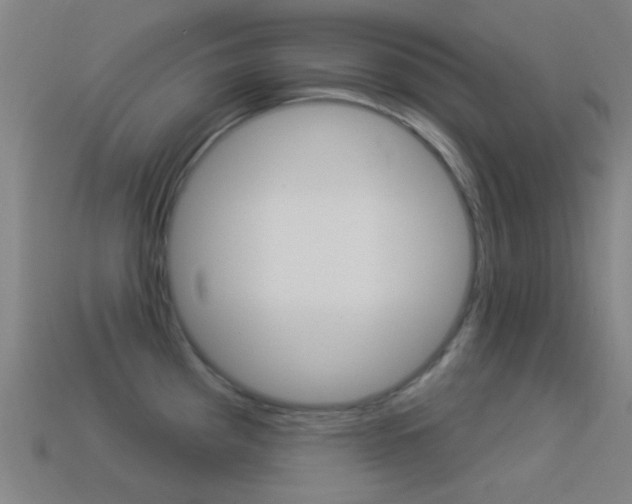 X0000114531193200910191004