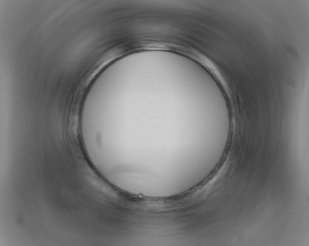 X0000114531194200910191004