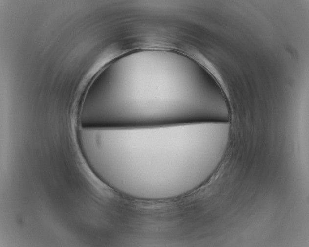 X0000114531195200910191004