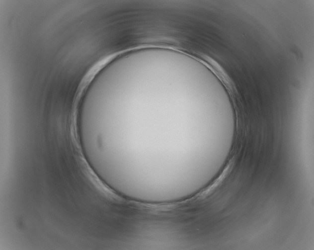 X0000114531196200910191004
