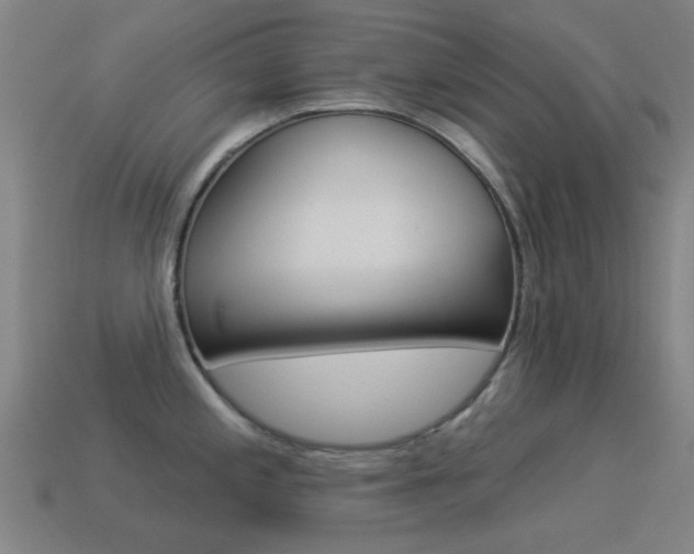 X0000114531197200910191004