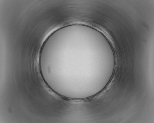 X0000114531198200910191004