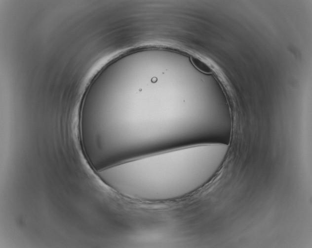 X0000114531199200910191004