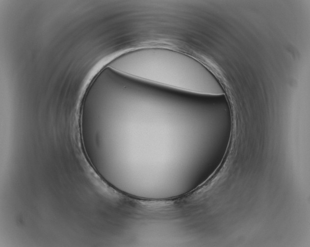 X0000114531200200910191004