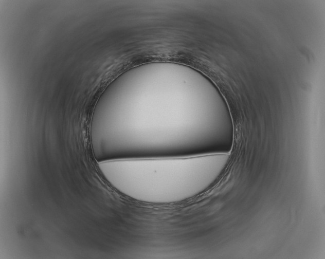 X0000114531202200910191003