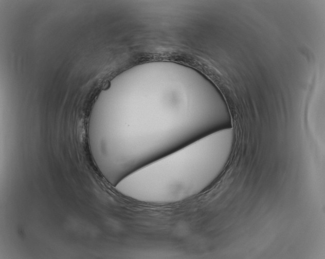 X0000114531204200910191003