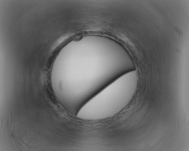 X0000114531208200910191003
