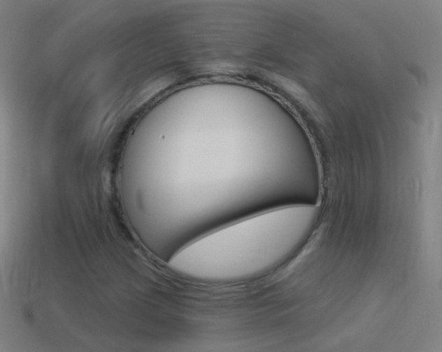 X0000114531209200910191003