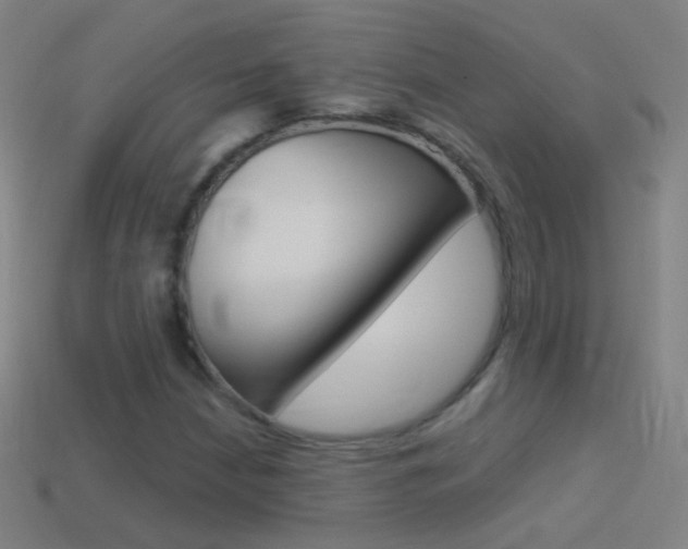 X0000114531210200910191003
