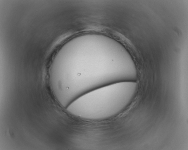 X0000114531215200910191003