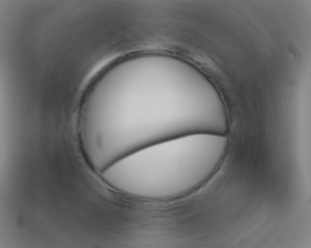 X0000114531216200910191003