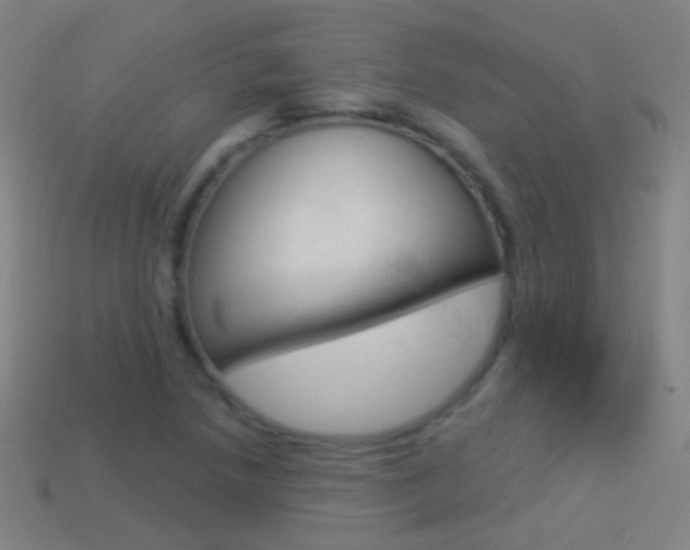 X0000114531218200910191003