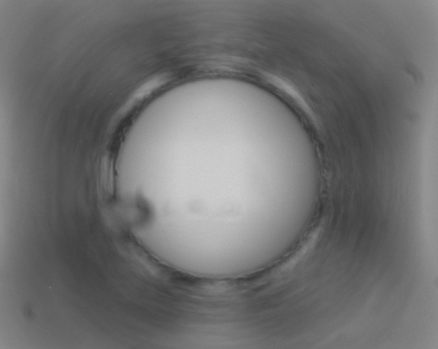 X0000114531219200910191003