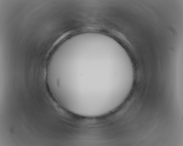X0000114531220200910191003