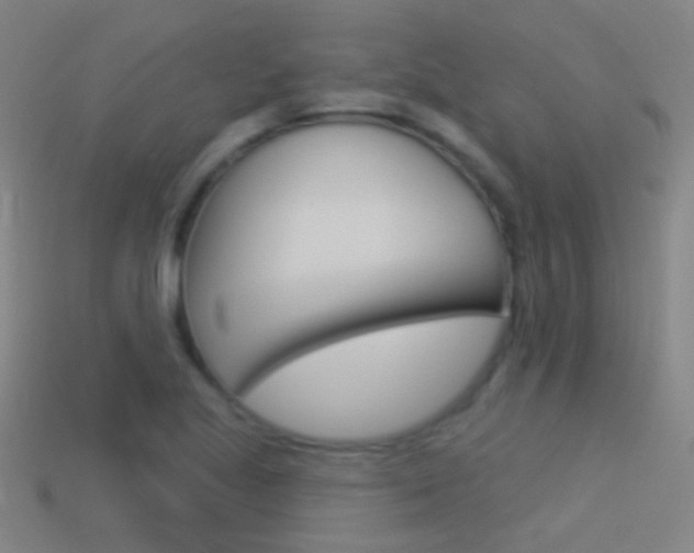 X0000114531221200910191003