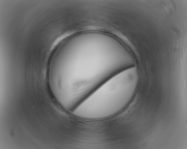 X0000114531222200910191003