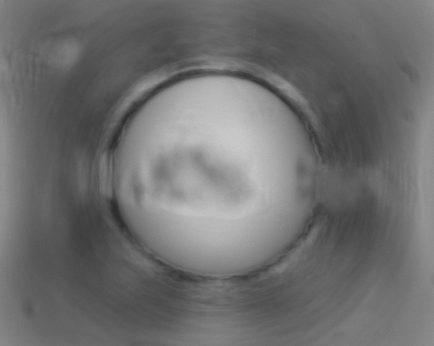 X0000114531223200910191003