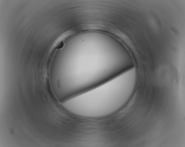 X0000114531226200910191003