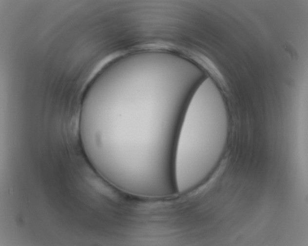 X0000114531228200910191003
