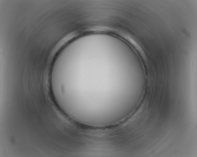 X0000114531229200910191003