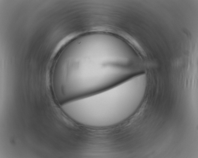X0000114531230200910191003
