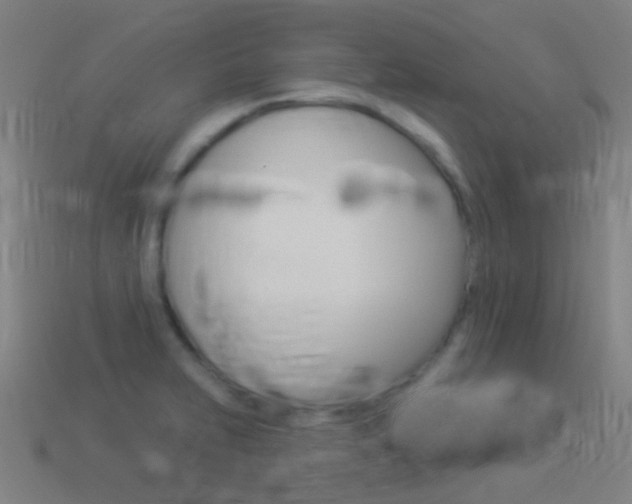 X0000114531231200910191003