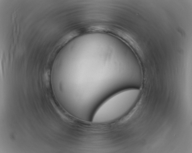 X0000114531233200910191003