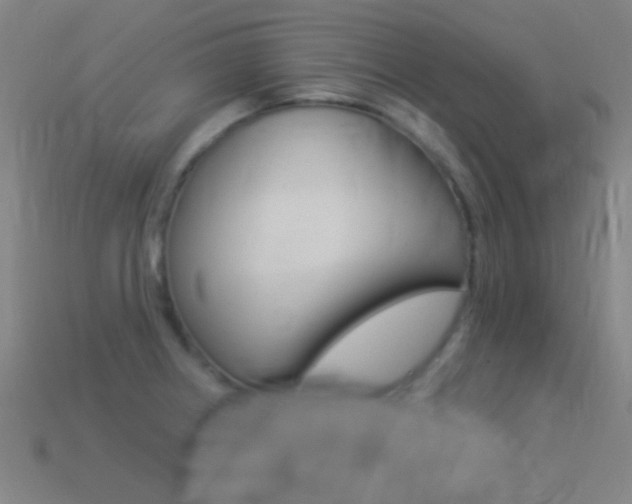 X0000114531234200910191003