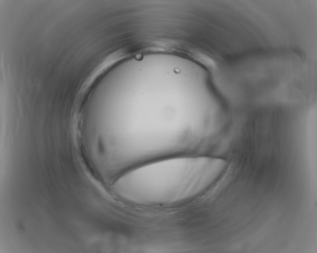 X0000114531235200910191003