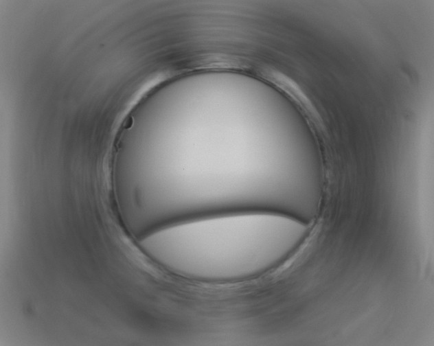 X0000114531236200910191003