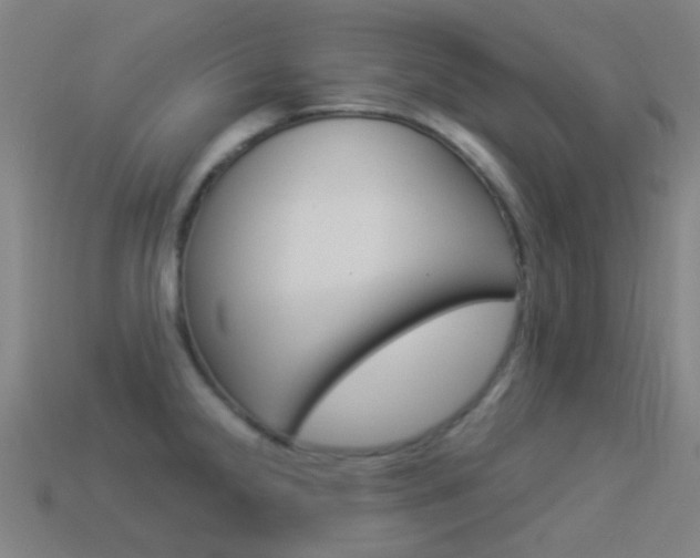 X0000114531238200910191003