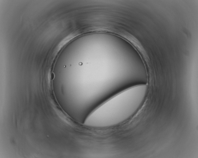 X0000114531242200910191004