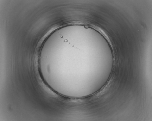 X0000114531243200910191004
