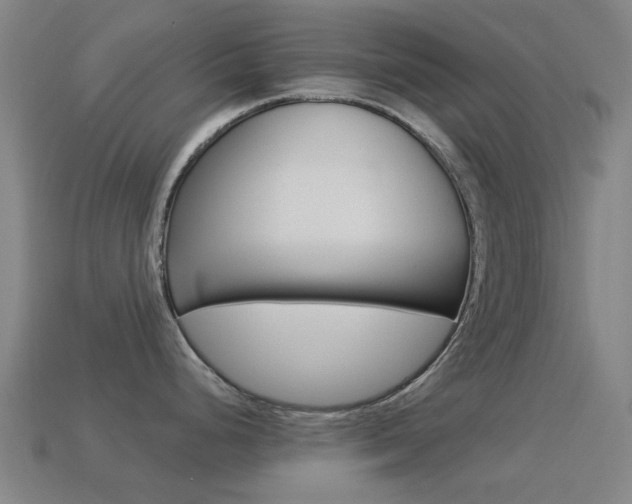 X0000114531248200910191004