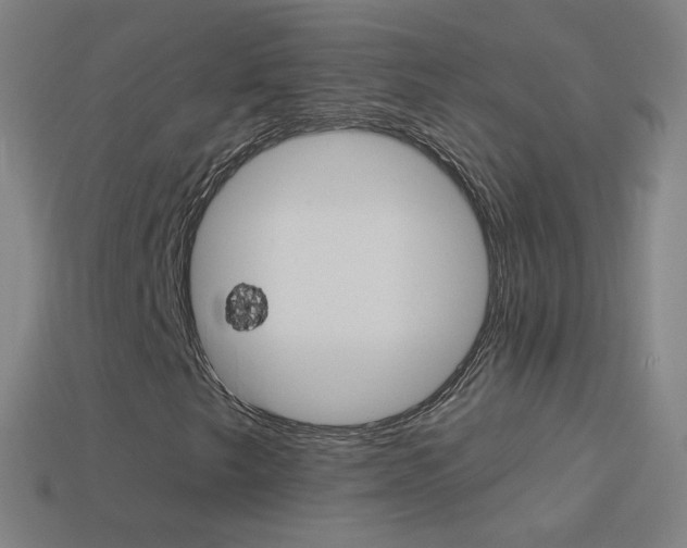 X0000114531249200910191003