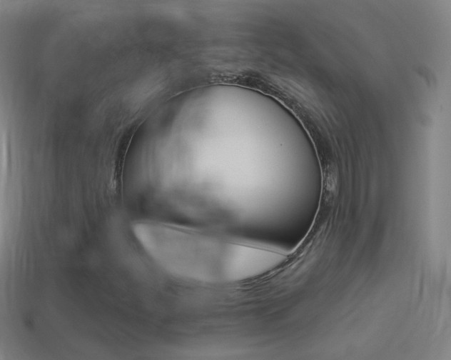 X0000114531252200910191003