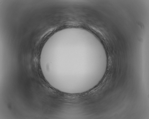 X0000114531254200910191003